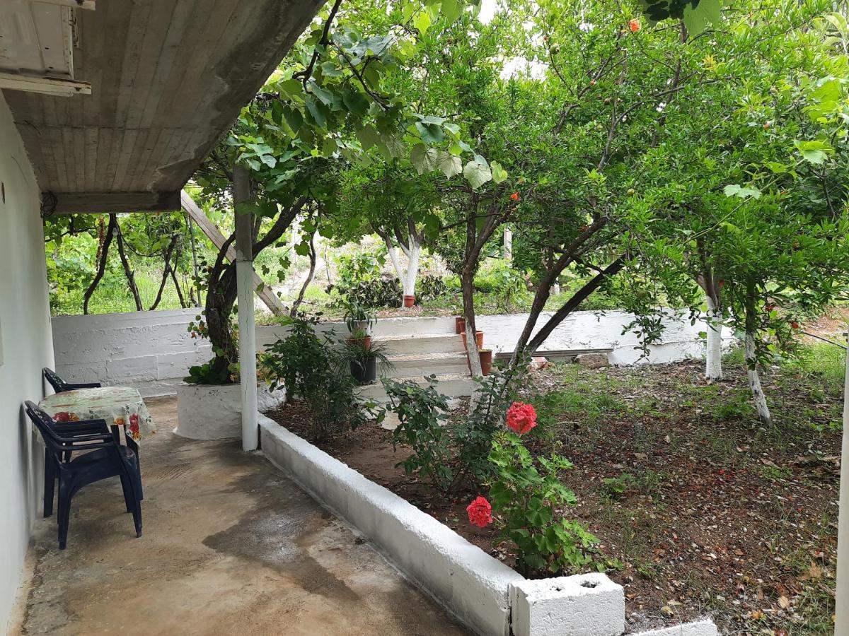 Hillside Apartments Borsh Exterior foto